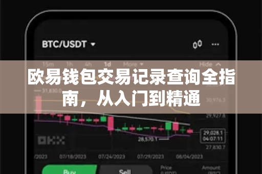 欧易钱包交易记录查询全指南，从入门到精通