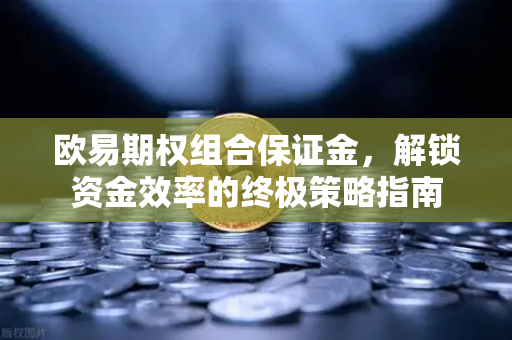 <strong>欧易</strong>期权组合保证金，解锁资金效率的终极策略指南
