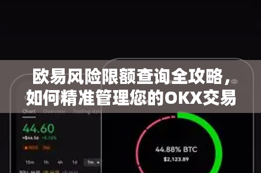 欧易风险限额查询全攻略，如何精准管理您的OKX交易风险？