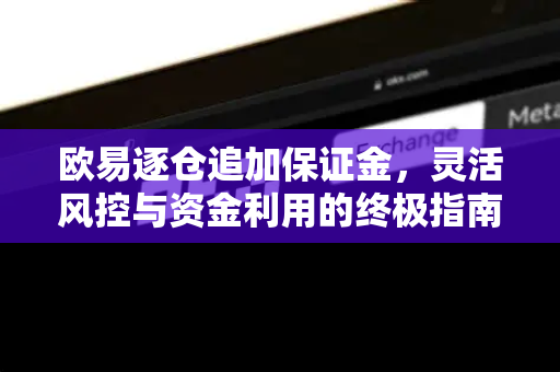 欧易逐仓追加保证金，灵活风控与资金利用的终极指南
