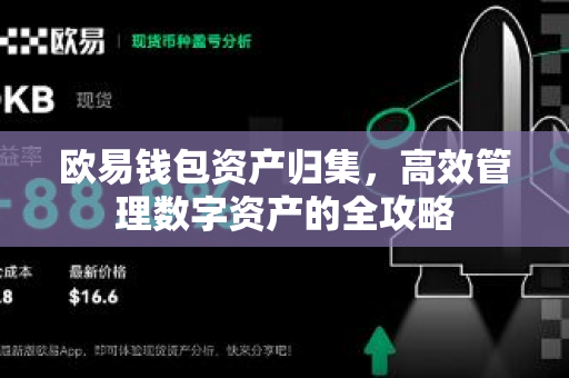欧易钱包资产归集,高效管理数字资产的全攻略 欧易钱包资产归集,高效管理数字资产的全攻略