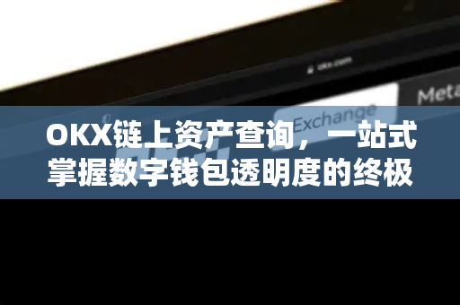 OKX链上资产查询,一站式掌握数字钱包透明度的终极指南 OKX链上资产查询,一站式掌握数字钱包透明度的终极指南