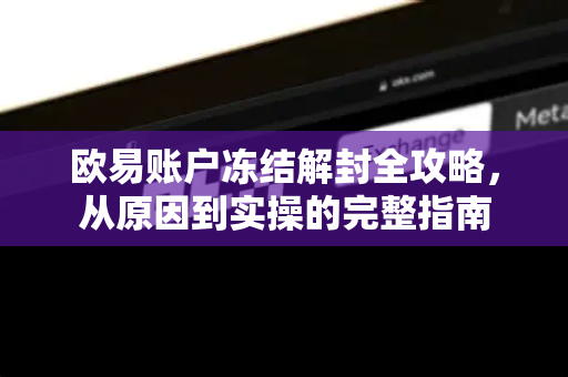 欧易账户冻结解封全攻略,从原因到实操的完整指南 欧易账户冻结解封全攻略,从原因到实操的完整指南