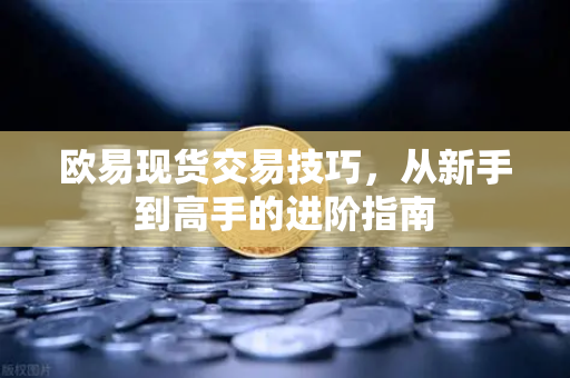 欧易现货交易技巧,从新手到高手的进阶指南 欧易现货交易技巧,从新手到高手的进阶指南