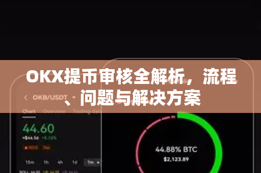 OKX提币审核全解析，流程、问题与解决方案