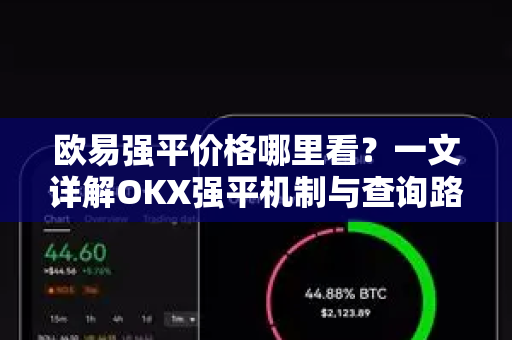 欧易强平价格哪里看？一文详解OKX强平机制与查询路径（2025最新版）