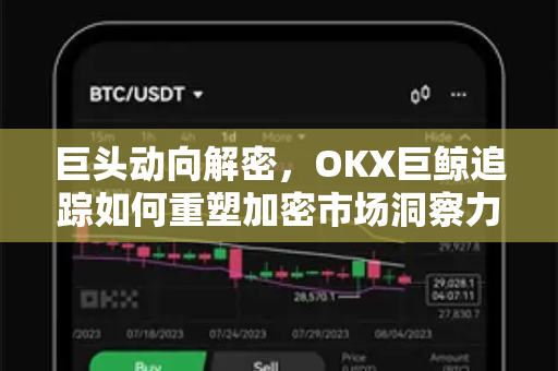巨头动向解密，OKX巨鲸追踪如何重塑加密市场洞察力？
